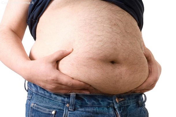 Perché il grasso addominale è pericoloso? - ALIMENTAZIONE E NUTRACEUTICA