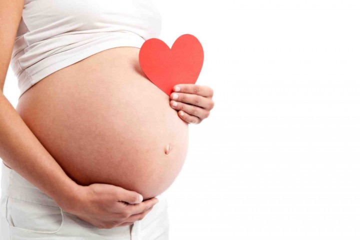 Pregnant woman showing her belly and holding a paper heart. Isolated on white