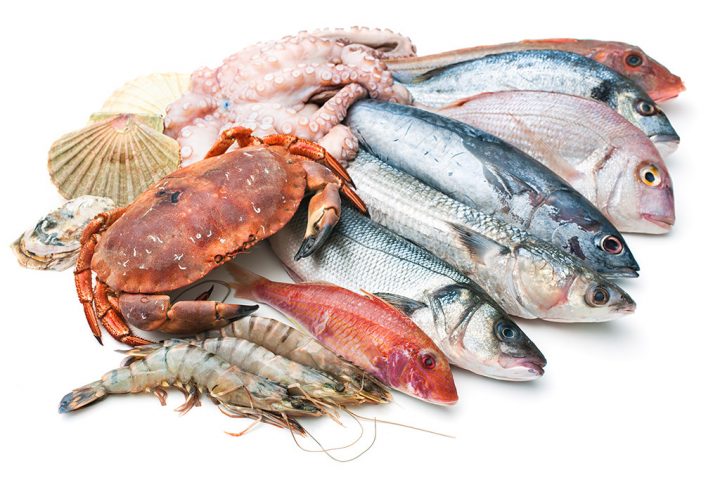 Fresh catch of fish and other seafood isolated on white background