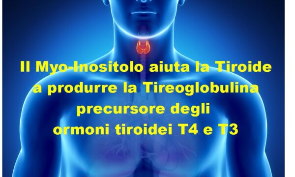 Myo-Inositolo Fondamentale Per la Sintesi degli ormoni Tiroidei