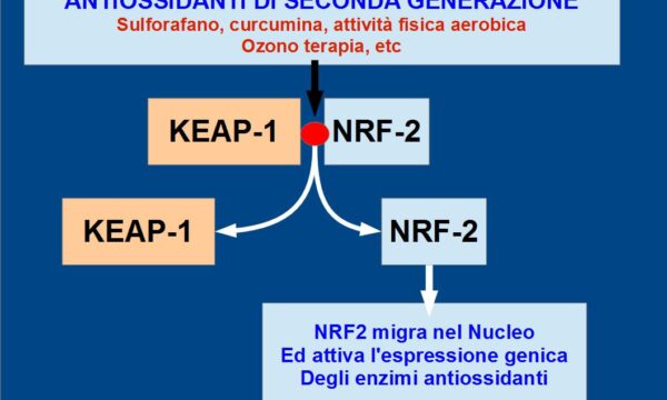 NRF2 e gli Antiossidanti di Seconda Generazione
