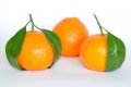 Perché Mandarini e Arance Fanno fare tanta Pipì?