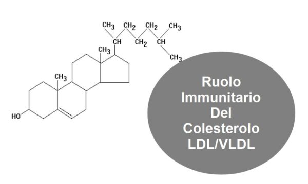 Il Colesterolo LDL e VLDL ci Protegge dalle Infezioni