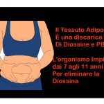 Il Tessuto Adiposo come Discarica di Diossine e PCB
