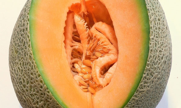 Melone Cantalupo ricco di SOD