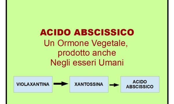 Acido Abscissico: Un Ormone Vegetale presente anche nell’Uomo