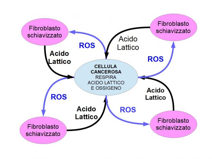 effetto warburg inverso