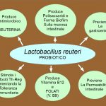 Lactobacillus reuteri & Reuterina