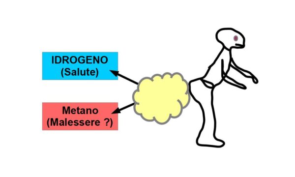 Composizione dei Gas Intestinali: Idrogeno e Metano