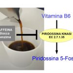 La caffeina inibisce la Vitamina B6