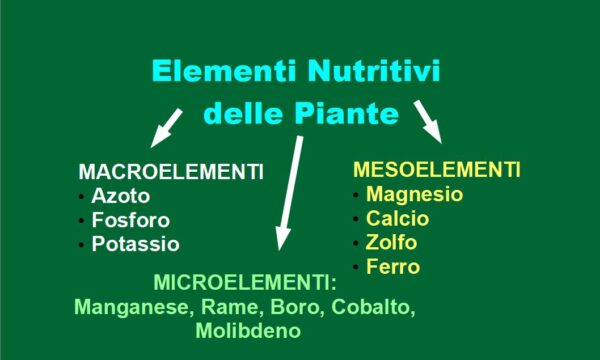 Elementi Nutritivi delle Piante