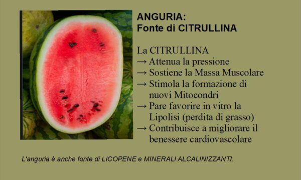 Anguria: Fonte di L-Citrullina