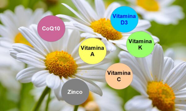Vitamina C, D, E, K, CoQ10 e Zinco