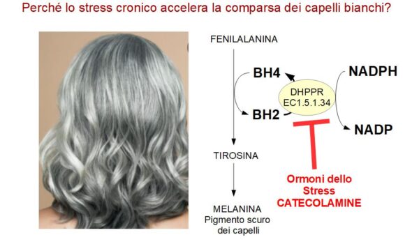Stress e Capelli Bianchi