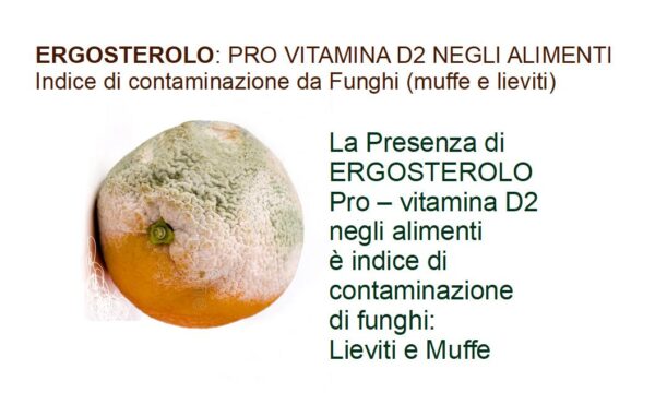 ERGOSTEROLO: La Pro – Vitamina D2 che può essere utilizzata come marker di contaminazione fungina negli alimenti