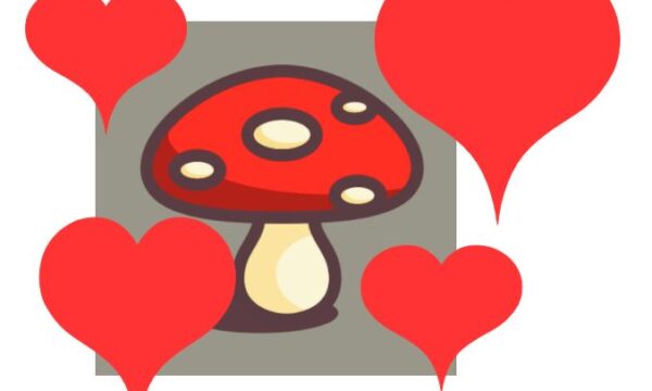 Il Fungo dell’amore