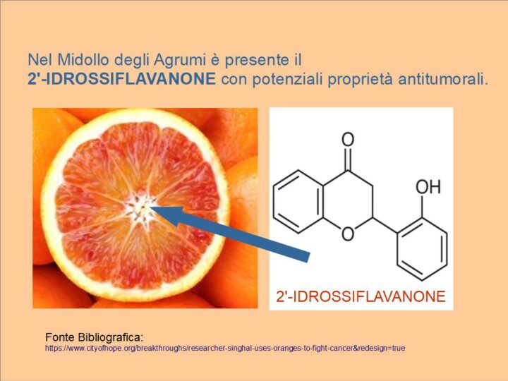 2'-Idrossiflavanone antitumorale degli agrumi è presente nel mifollo bianco degliagrumi ed è oggetto di studio per le proprietà anticancro.