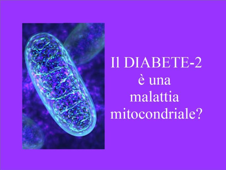 Il Diabete-2 è una malattia Mitocondriale?