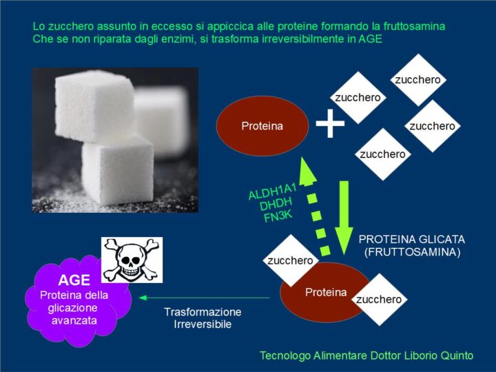 Detossificazione da Zucchero: schema riassuntivo della formazione della fruttosamina e della formazione irreversibile degli AGE (proteine della glicazione avanzata)