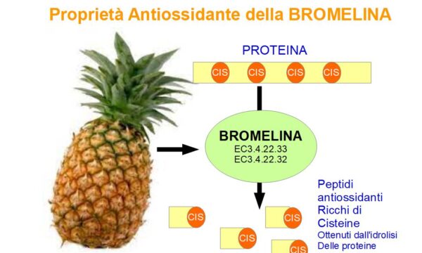 La Bromelina è un antiossidante?