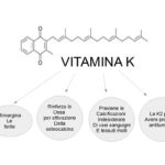 La Vitamina K a cosa serve?
