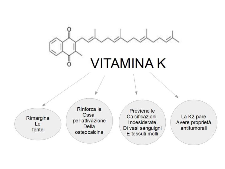 La Vitamina K a cosa serve?