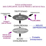 Curcumina antidepressiva perché riduce la chinurenina