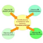 Le Vitamine B contribuiscono a tenere bassa la pressione