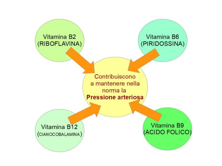 Le Vitamine B contribuiscono a tenere bassa la pressione