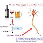 Perché l’alcol peggiora le neuropatie?