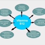 Dettagli sulla Vitamina B12