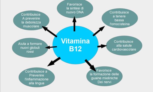 Dettagli sulla Vitamina B12