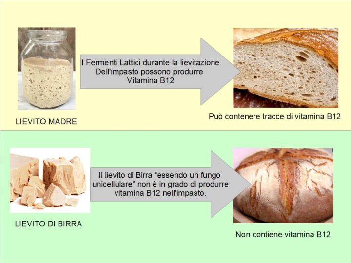 Il Pane contiene vitamina B12?