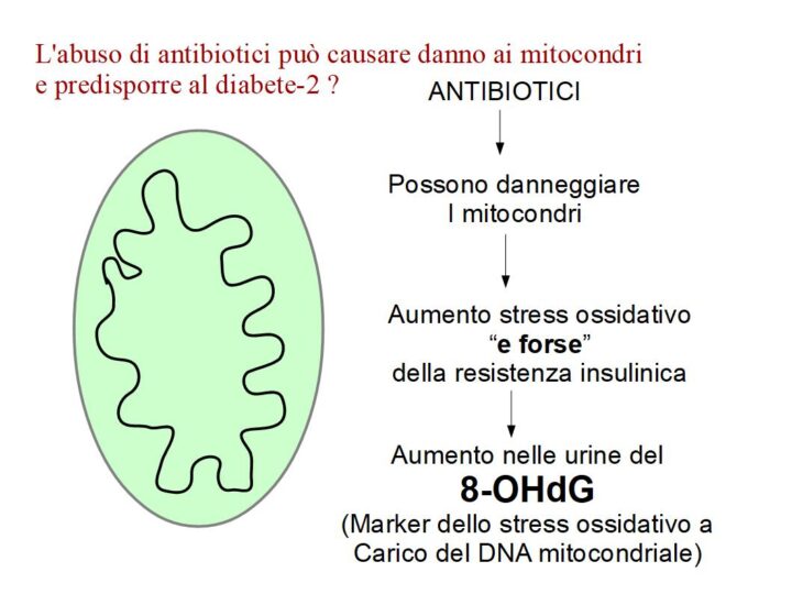 Abuso di antibiotici danneggia i mitocondri e potrebbe favorire il diabete-2