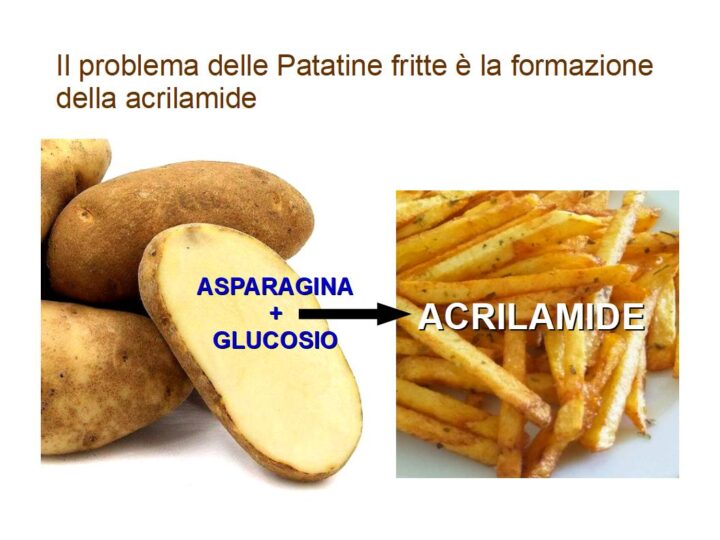 Le patate fritte contengono acrilamide