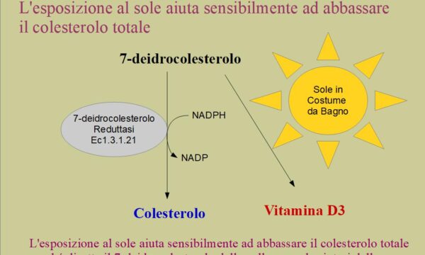 Il sole aiuta ad abbassare il colesterolo
