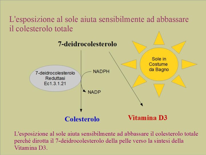 L'esposizione al sole aiuta sensibilmente ad abbassare il colesterolo totale
perché dirotta il 7-deidrocolesterolo della pelle verso la sintesi della 
Vitamina D3.