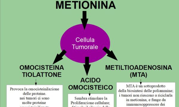 Perché le cellule tumorali sono avide di metionina?