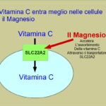 Il Magnesio migliora l’assorbimento della vitamina C