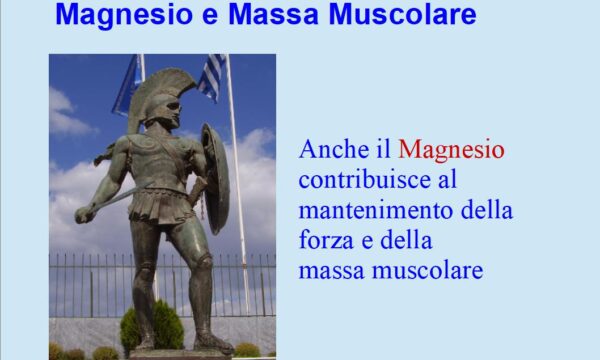 Il Magnesio aiuta i muscoli