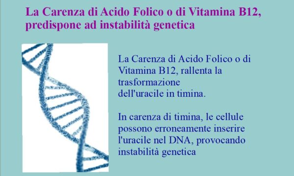 Alterazione del DNA da carenza di Acido Folico e di vitamina B12