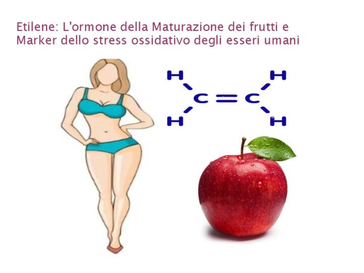 ETILENE: L'ormone della maturazione dei frutti e marker dello stress ossidativo umano