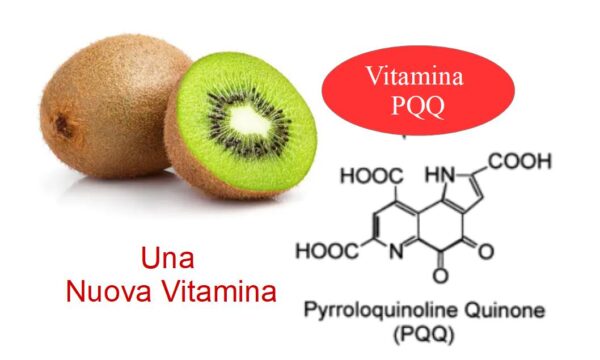 Vitamina PQQ (Pyrroloquinoline Quinone)