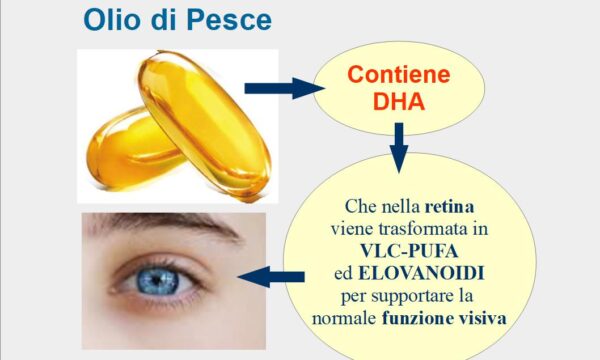 Omega-3 (DHA) nella funzione visiva