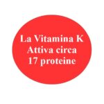 La Vitamina K quante proteine attiva?