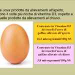 Vitamina D3 nelle uova