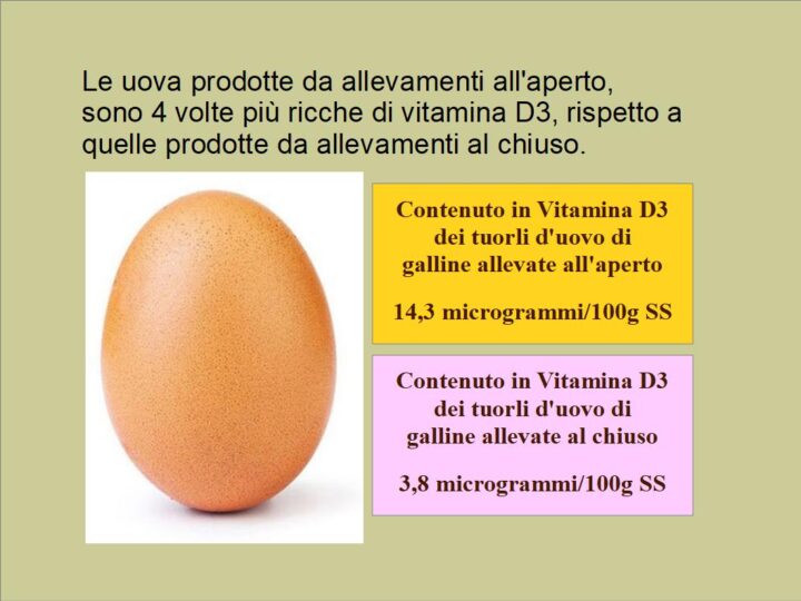 Le uova prodotte da allevamenti all'aperto,  sono 4 volte più ricche di vitamina D3, rispetto aquelle prodotte da allevamenti al chiuso.
