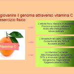 Ringiovanire il genoma con Vitamina C ed esercizio fisico