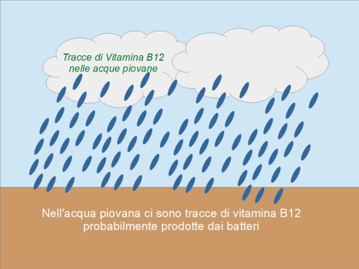 Vitamina B12 nell'acqua piovana