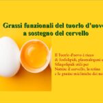Tuorlo d’uovo ricco di nutrienti per il cervello